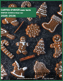 Cartes d'hiver sans texte